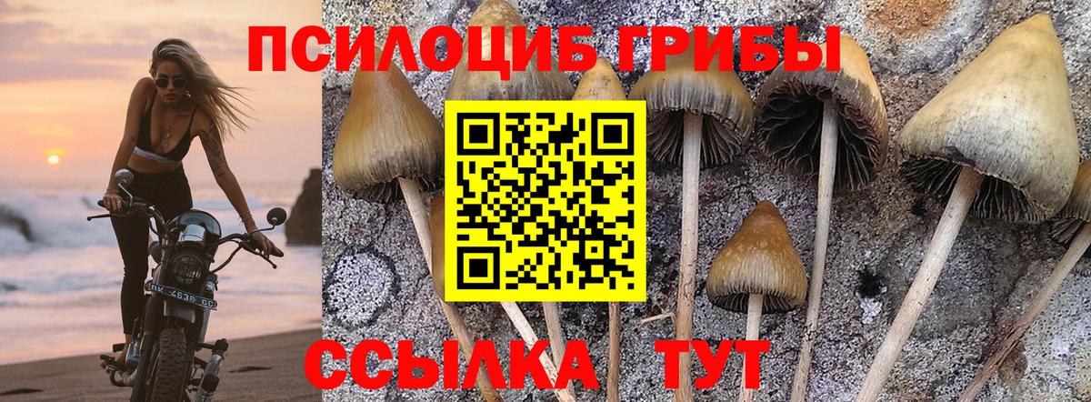 Галлюциногенные грибы Cubensis  Вход с VPN  Новый Уренгой  как найти закладки  Псилоцибиновые грибы прущие грибы 