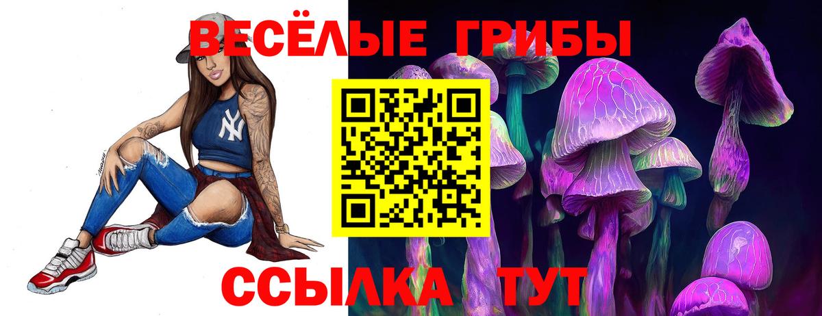 Псилоцибиновые грибы Cubensis Новый Уренгой